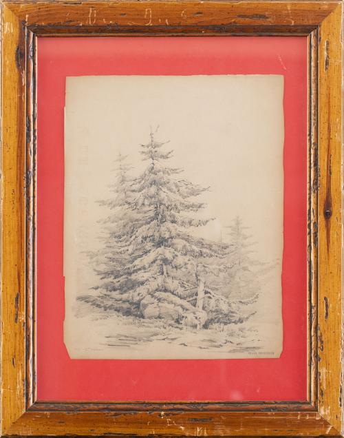 JOSÉ MARÍA VELASCO  (México, 1840-1912)Árboles