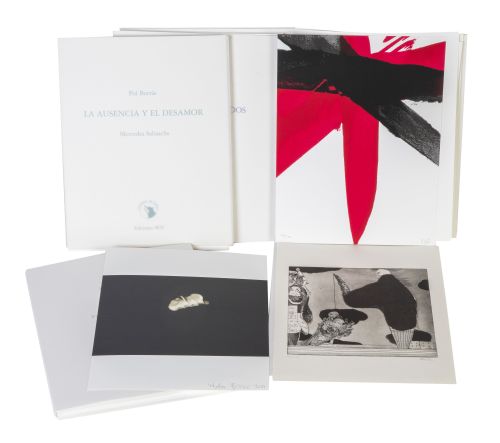 COLECCIÓN OVEJAS AL LOBOLote de cinco libros con cinco ob