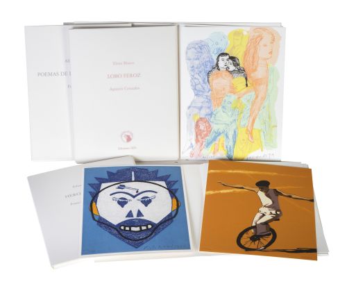 COLECCIÓN OVEJAS AL LOBOLote de cinclo libros con cinco o