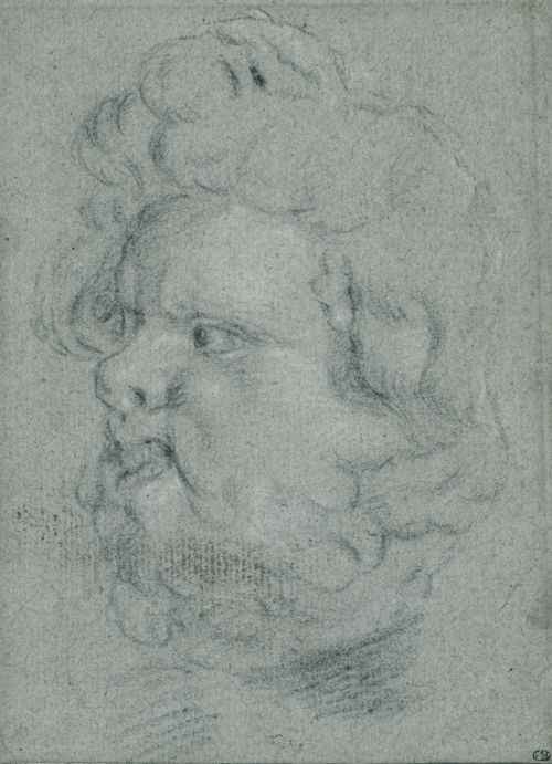 ESCUELA FLAMENCA, SIGLO XVIIIEstudio de una cabeza