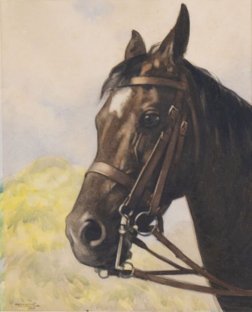 RAFAEL DE PENAGOS (Madrid, 1889 - 1954)Cabeza de caballo
