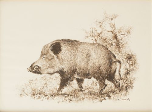 LUIS ALDEHUELA (1920-2011)Pareja de láminas de animales, 