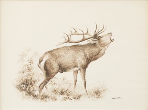 LUIS ALDEHUELA (1920-2011)Pareja de láminas de animales, 