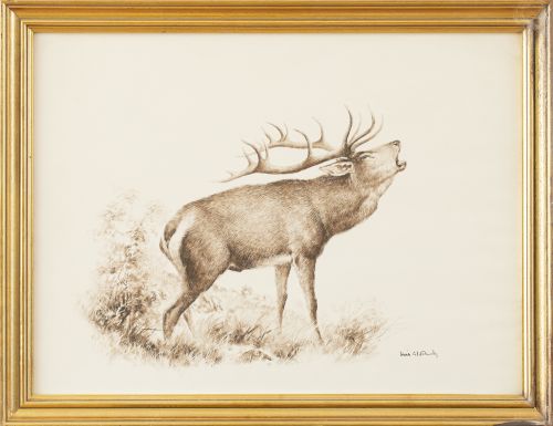 LUIS ALDEHUELA (1920-2011)Pareja de láminas de animales, 