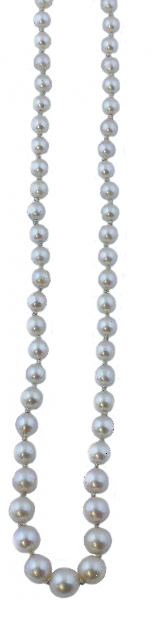 Collar de pp. S. XX de un hilo de perlas de tamaño crecient
