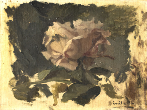 CECILIO PLAY Y GALLARDO (Valencia, 1860-Madrid, 1934)Petuni