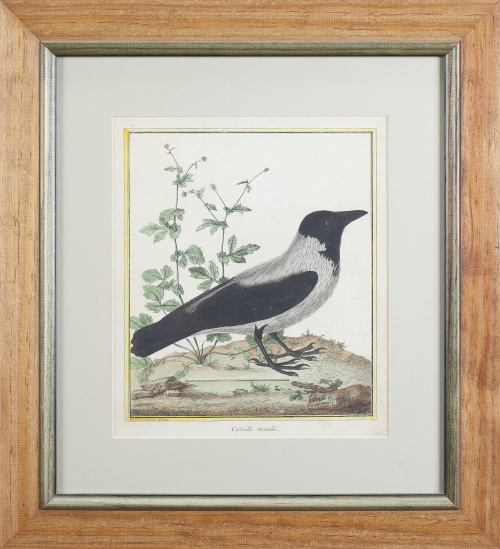 FRANÇOIS- NICOLAS MARTINET (1731- 1800), FRANÇOIS- NICOLAS 