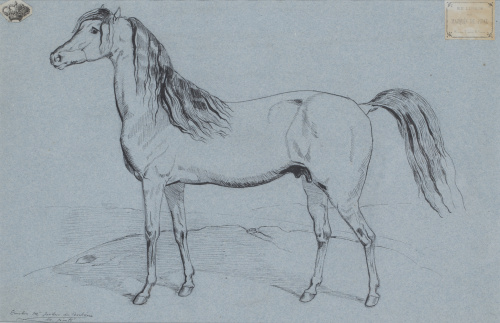 CARLOS MARÍA ISIDRO DE BORBÓN (1788-1855)Estudio de caballo