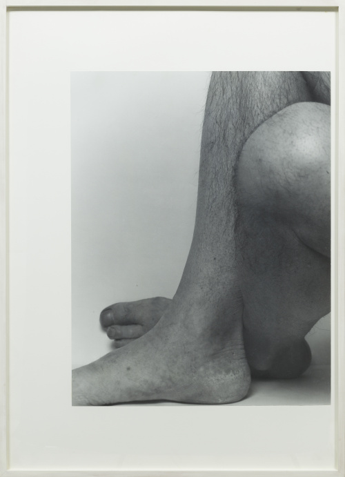 JOHN COPLANS (Londres, 1920 - Nueva York, 2003)Self Portra