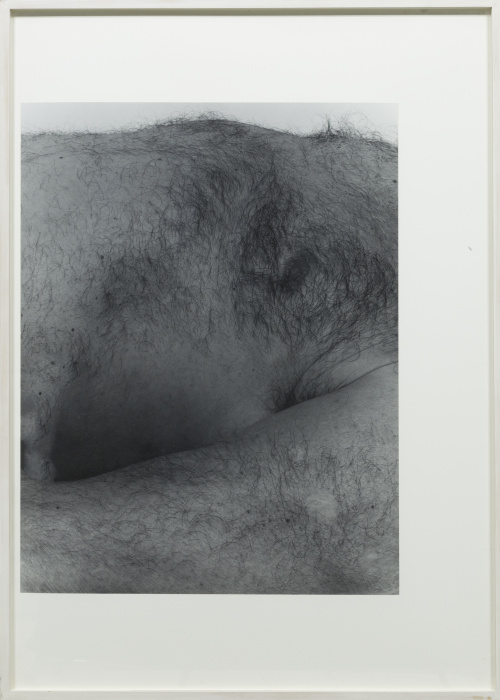 JOHN COPLANS (Londres, 1920 - Nueva York, 2003)Self Portra