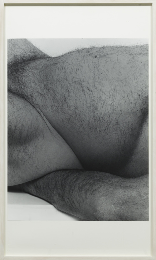 JOHN COPLANS (Londres, 1920 - Nueva York, 2003)Self Portra