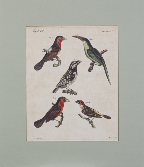 ESCUELA FRANCESA, SIGLO XIX, ESCUELA FRANCESA, SIGLO XIX"