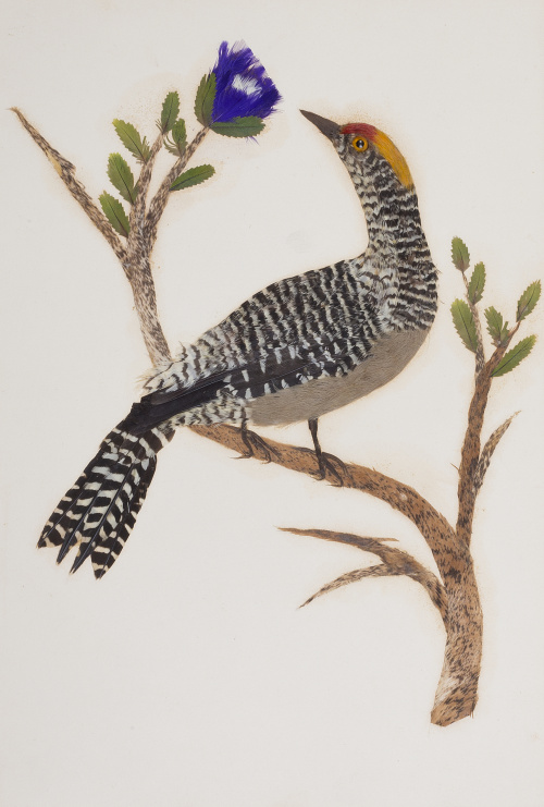 ESCUELA MEJICANA, SIGLO XIX, ESCUELA MEJICANA, SIGLO XIX (P