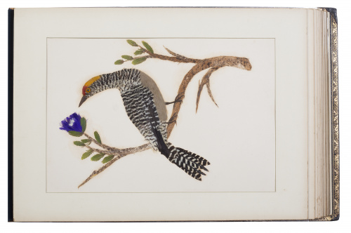 ESCUELA MEJICANA, SIGLO XIX, ESCUELA MEJICANA, SIGLO XIX (P