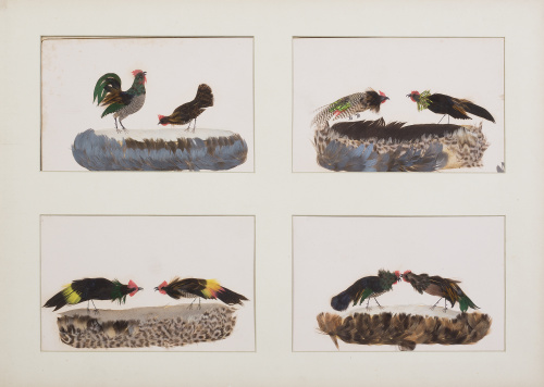 ESCUELA MEJICANA, SIGLO XIX, ESCUELA MEJICANA, SIGLO XIX (P