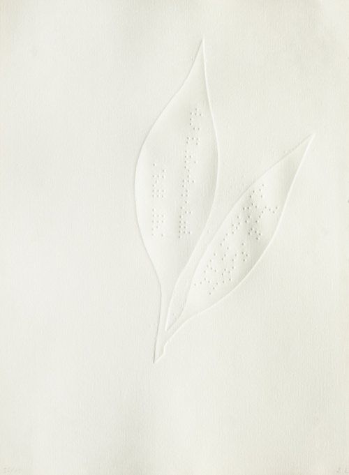 EVA LOOTZ (Viena, 1940)S/T