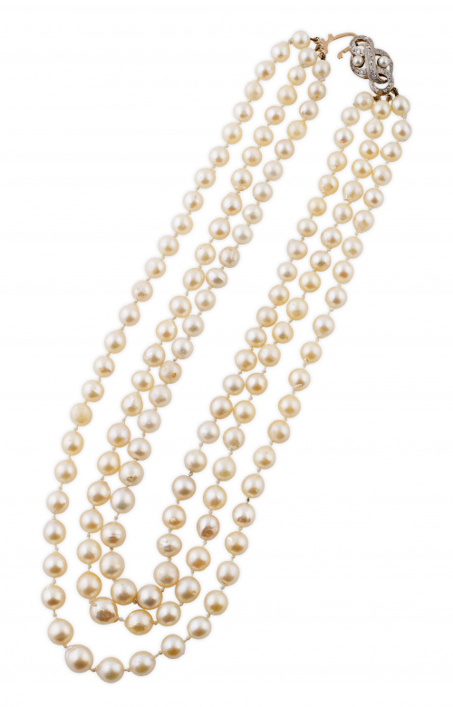 Collar de tres hilos de perlas cultivadas de tamaño graduad
