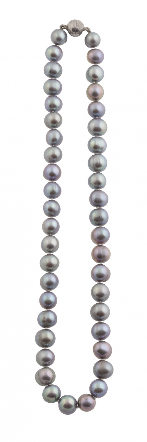 Collar de un hilo de perlas grises de agua dulce  con cierr