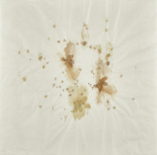 JOSÉ MARÍA SICILIA (Madrid, 1954), JOSÉ MARÍA SICILIA (Madr