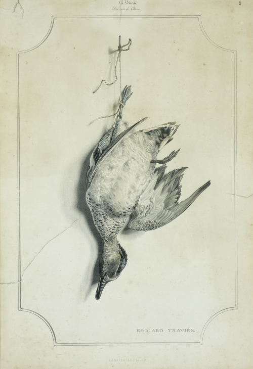 EDOUARD TRAVIES (1809- 1865)La Sarcelle d´Hiver.