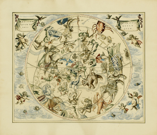 ANDREA CELLARIUS (1596- 1665)“Haemisphaerium stellatum bor