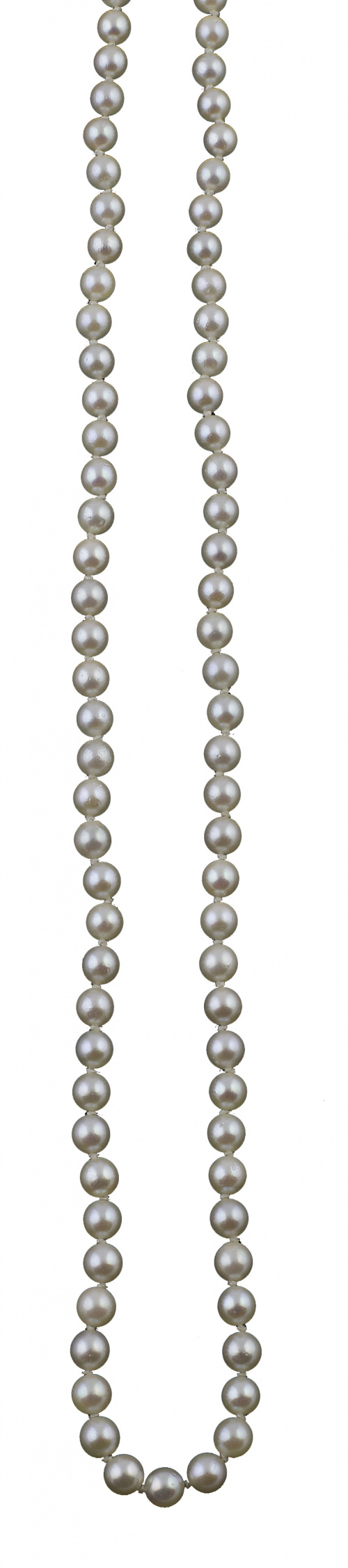 Collar de perlas cultivadas de 4 mm con cierra de perla y o