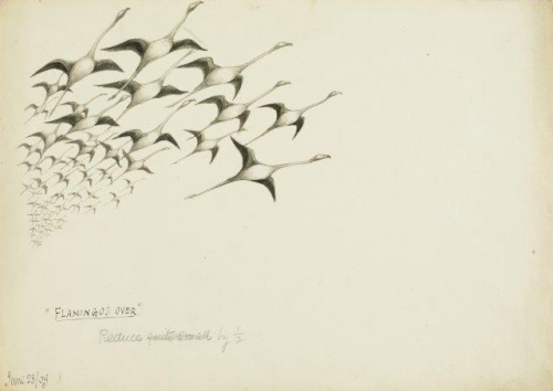 COLECCIÓN DE 54 DIBUJOS ORIGINALES DE ABEL CHAPMAN (1851-192