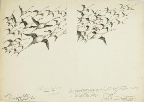 COLECCIÓN DE 54 DIBUJOS ORIGINALES DE ABEL CHAPMAN (1851-192