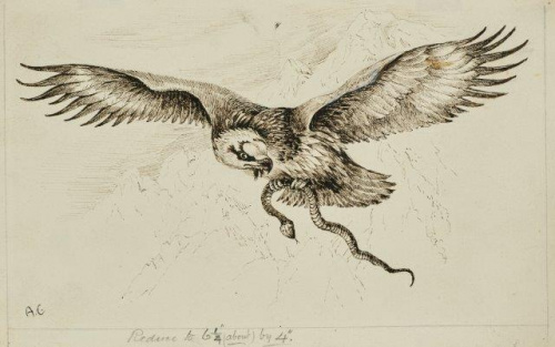 COLECCIÓN DE 54 DIBUJOS ORIGINALES DE ABEL CHAPMAN (1851-192