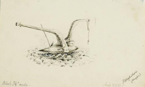 COLECCIÓN DE 54 DIBUJOS ORIGINALES DE ABEL CHAPMAN (1851-192