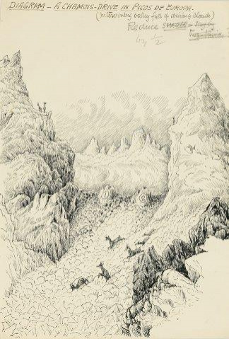 COLECCIÓN DE 54 DIBUJOS ORIGINALES DE ABEL CHAPMAN (1851-192