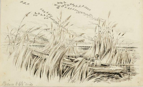 COLECCIÓN DE 54 DIBUJOS ORIGINALES DE ABEL CHAPMAN (1851-192