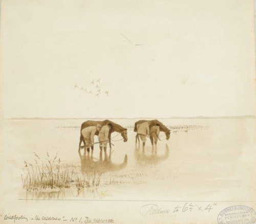 COLECCIÓN DE 54 DIBUJOS ORIGINALES DE ABEL CHAPMAN (1851-192