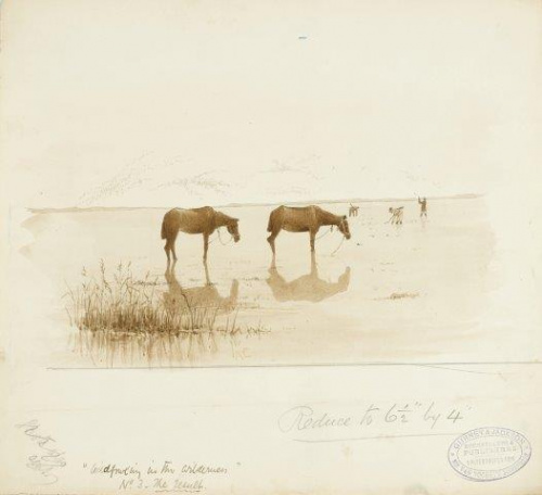 COLECCIÓN DE 54 DIBUJOS ORIGINALES DE ABEL CHAPMAN (1851-192