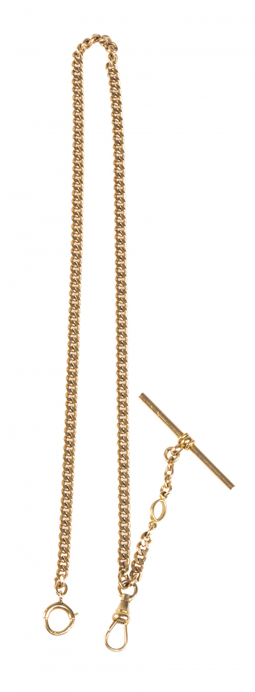 Leontina corta americana en oro de 14K, con eslabón barbado