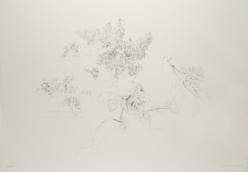 ANTONIO LÓPEZ (Tomelloso, 1936)“Suite Olympic Centennial”,