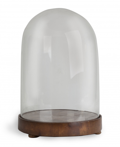 Fanal con forma de campana sobre, base de madera.S. XIX