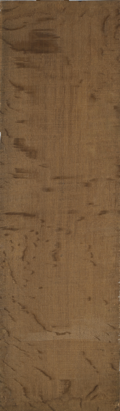 ESCUELA HISPANOFLAMENCA, PRIMERA MITAD DEL SIGLO XVISan An