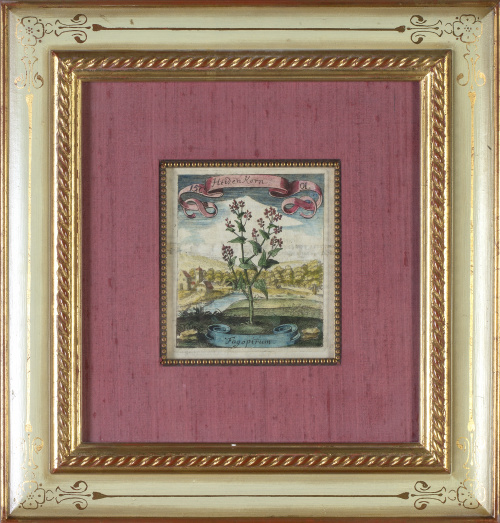 Michael Bernhard Valentini (1657 - 1729) Matthäus Merian ( 