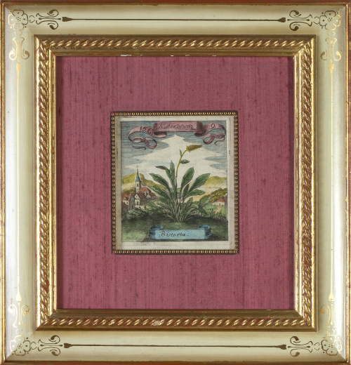 Michael Bernhard Valentini (1657 - 1729) Matthäus Merian ( 