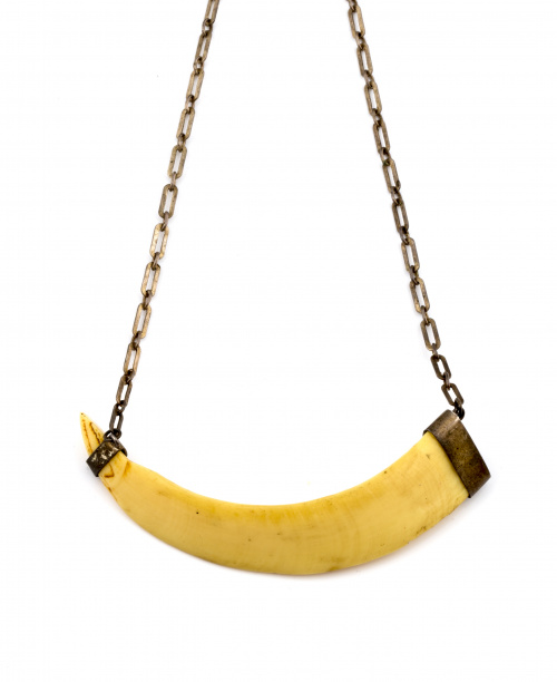 Lote de dos collares con colmillo de jabalí ,con montura y 
