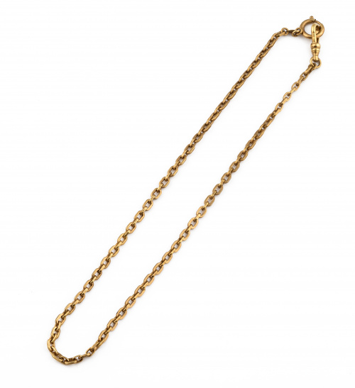 Leontina de eslabón barbado en oro amarillo de 9K.