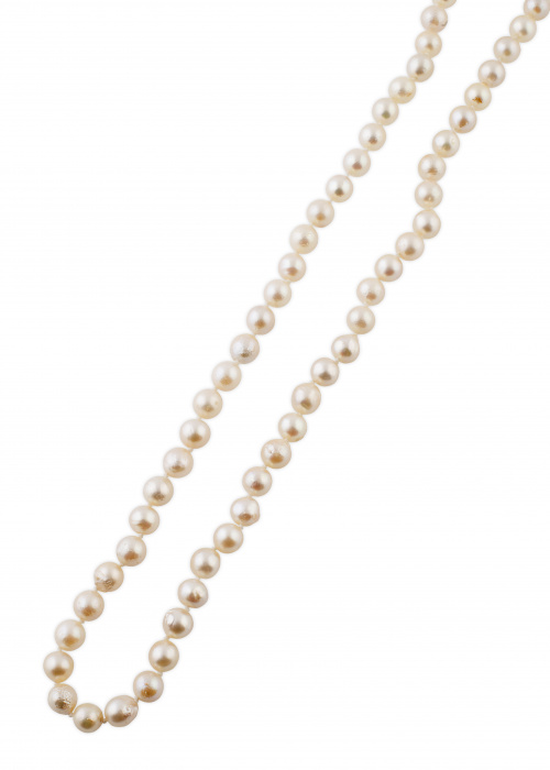 Collar de un hilo de perlas cultivadas con cierre que dibuj