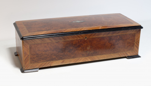 Caja Napoleón III de madera de palo de rosa y madera de raí