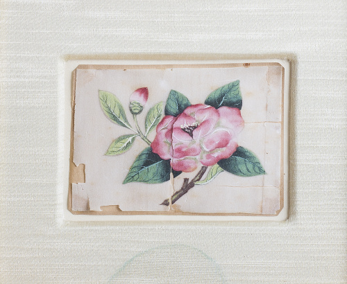 ESCUELA CHINA, SIGLO XIXRosa