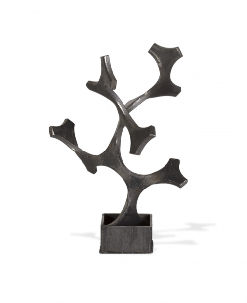 DIEGO CANOGAR (Madrid, 1966)Serie Algas, 2003