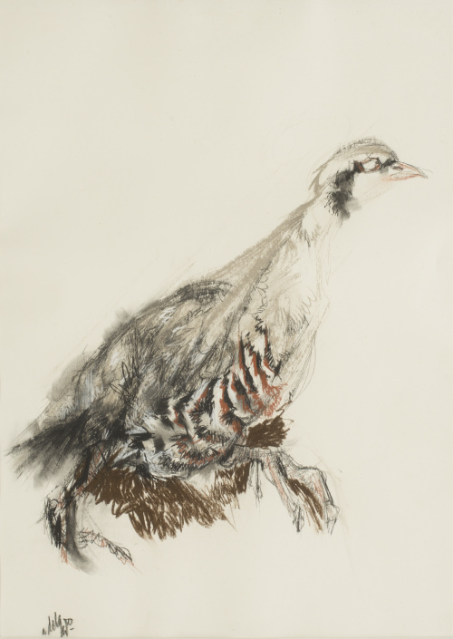 ÁLVARO DELGADO (Madrid, 1922 - 2016)Perdiz