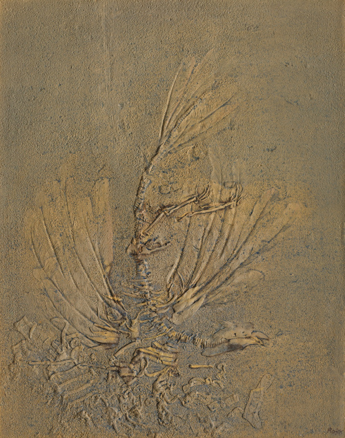 FRANCISCO ROJAS (Toledo, 1942)Serie fósiles