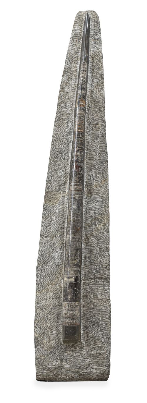 Fósil Belemnite.