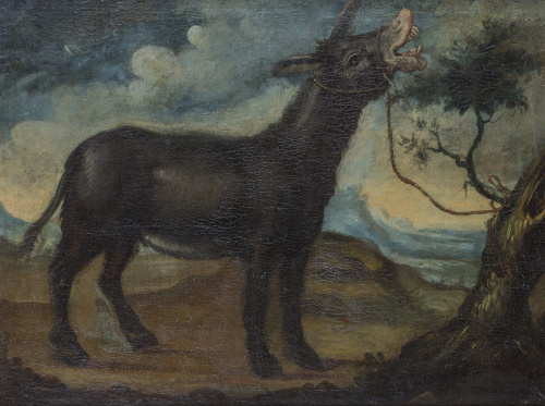 ESCUELA ESPAÑOLA, SIGLO XVIIIBorriquita